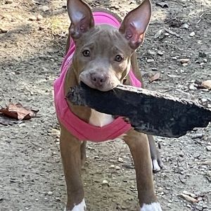 Meet your Posher, Linda